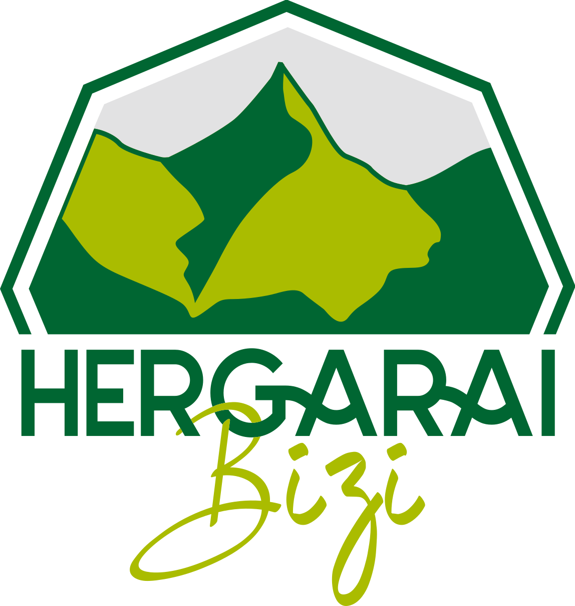 Hergarai Bizi